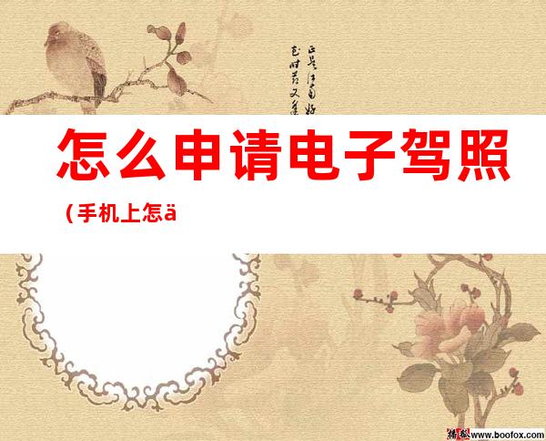 怎么申请电子驾照（手机上怎么申请电子驾驶证）