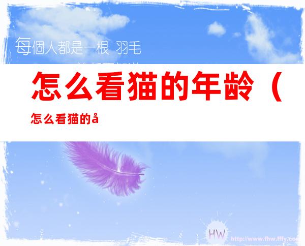 怎么看猫的年龄（怎么看猫的年龄大小）