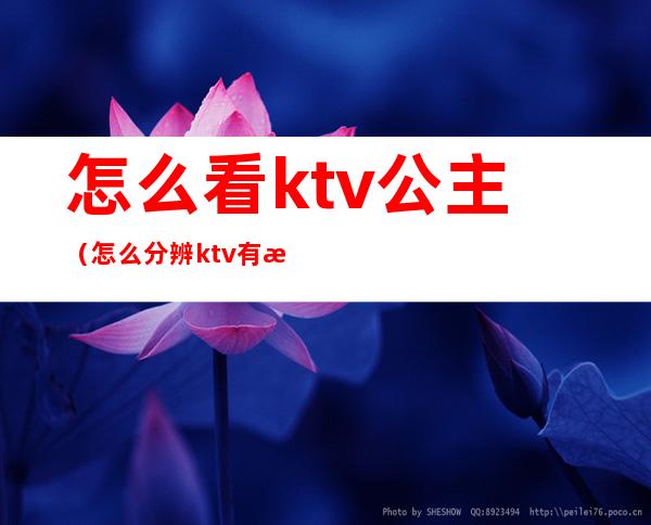 怎么看ktv公主(怎么分辨ktv有没有公主)