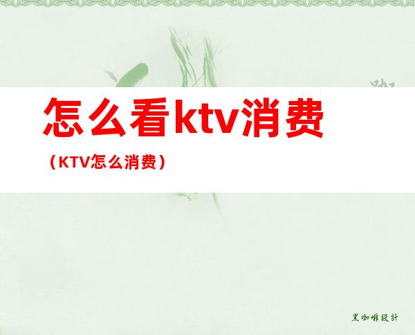 怎么看ktv消费(KTV怎么消费)