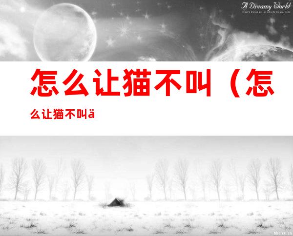 怎么让猫不叫(怎么让猫不叫你起床)