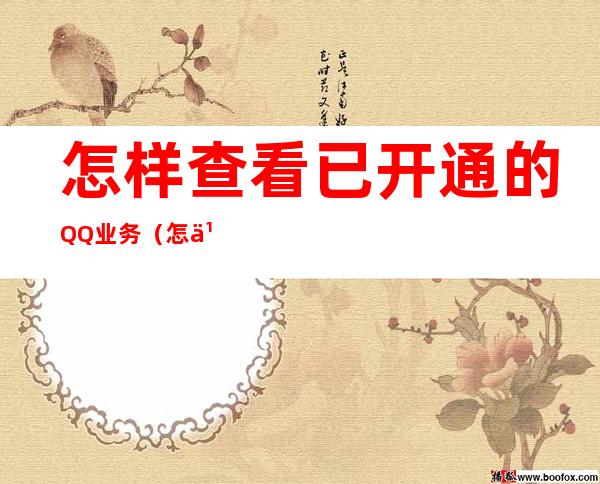 怎样查看已开通的QQ业务(怎么查询qq开通了哪些业务)