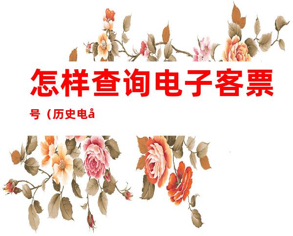 怎样查询电子客票号（历史电子客票号在哪里查询）