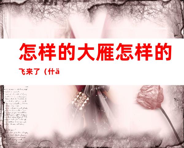 怎样的大雁怎样的飞来了（什么样的大雁怎样飞来了）