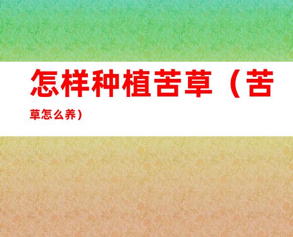 怎样种植苦草(苦草怎么养)