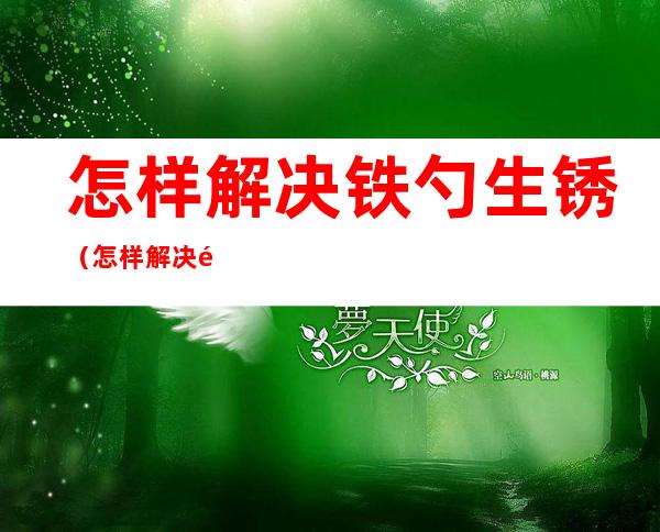 怎样解决铁勺生锈(怎样解决铁勺生锈的方法)
