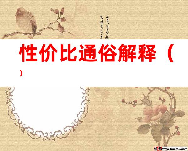 性价比通俗解释()