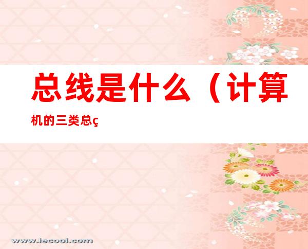 总线是什么(计算机的三类总线是什么)