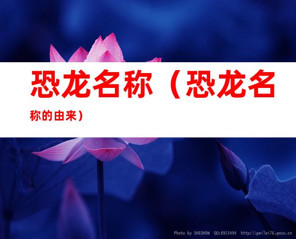恐龙名称(恐龙名称的由来)