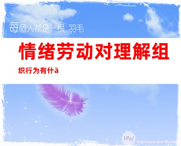 情绪劳动对理解组织行为有什么重要意义(组织行为学情绪劳动)