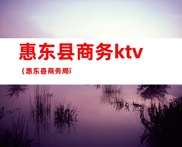 惠东县商务ktv(惠东县商务局)