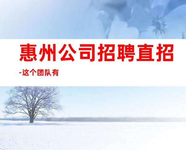 惠州公司招聘直招-这个团队有实力