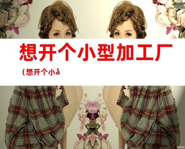 想开个小型加工厂(想开个小型加工厂0)