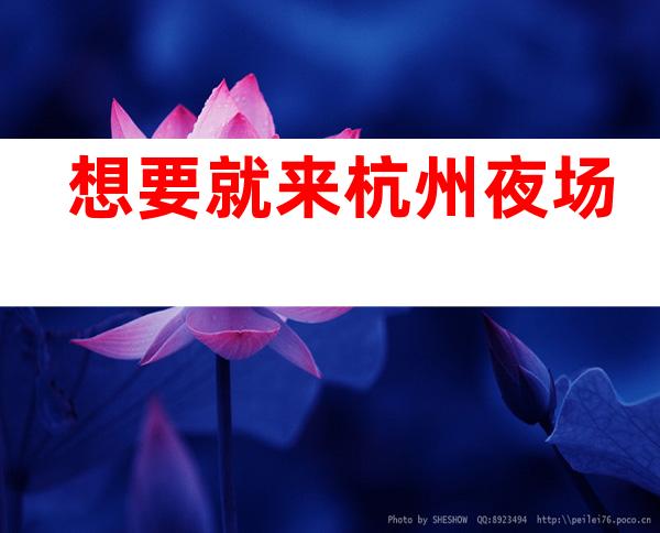 想要就来杭州夜场