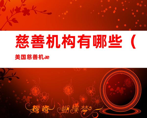 慈善机构有哪些(美国慈善机构有哪些)
