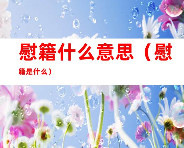 慰籍什么意思(慰籍是什么)