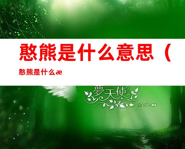 憨熊是什么意思(憨熊是什么意思网络)