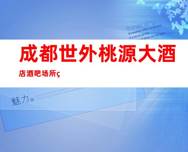 成都世外桃源大酒店酒吧场所生意火爆_天天爆满