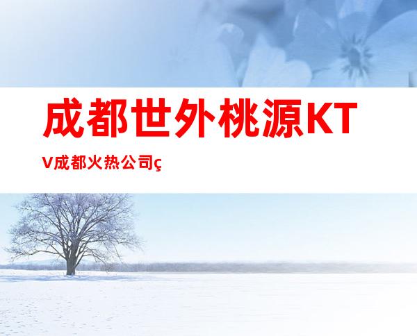 成都世外桃源KTV成都火热公司生意好档次高