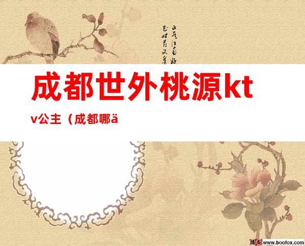 成都世外桃源ktv公主（成都哪些ktv有公主）