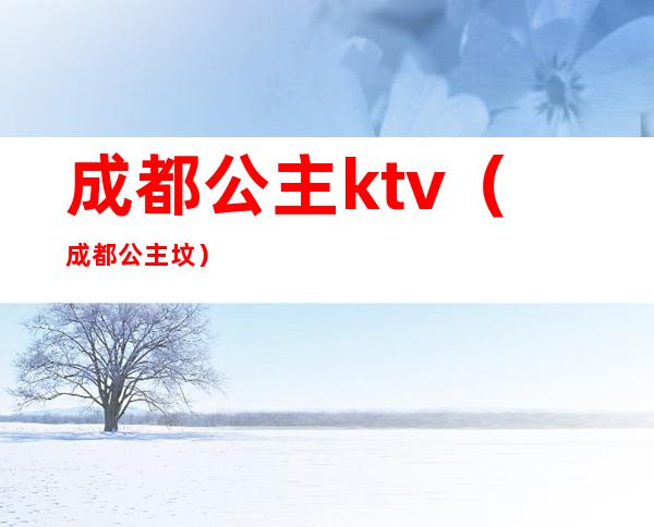 成都公主ktv(成都公主坟)