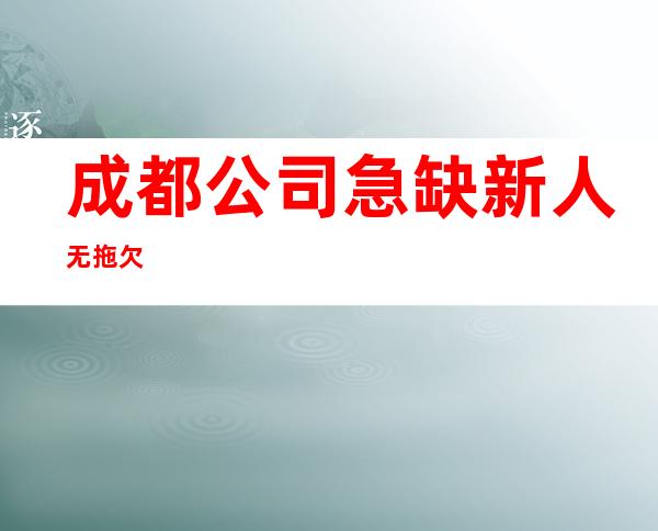 成都公司急缺新人无拖欠