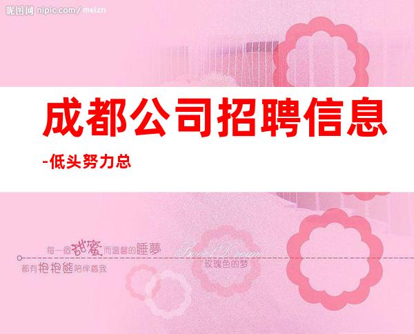 成都公司招聘信息-低头努力总能活成喜欢的样