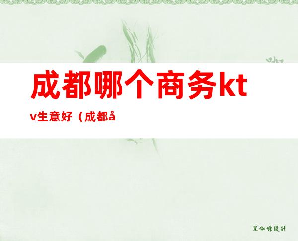 成都哪个商务ktv生意好(成都哪个商务ktv生意好点)