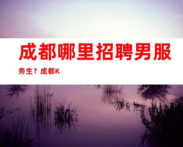 成都哪里招聘男服务生?成都KTV的工作前景一片大好