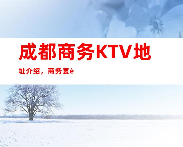 成都商务KTV地址介绍,商务宴请非常适合你