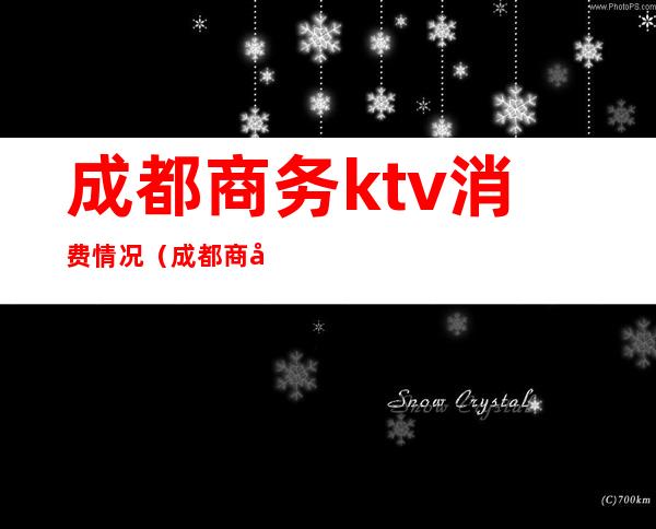 成都商务ktv消费情况（成都商务KTV消费）