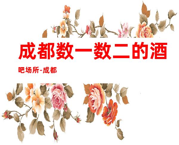 成都数一数二的酒吧场所-成都酒吧卡座预订信息