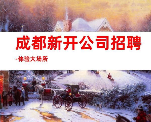 成都新开公司招聘-体验大场所生活