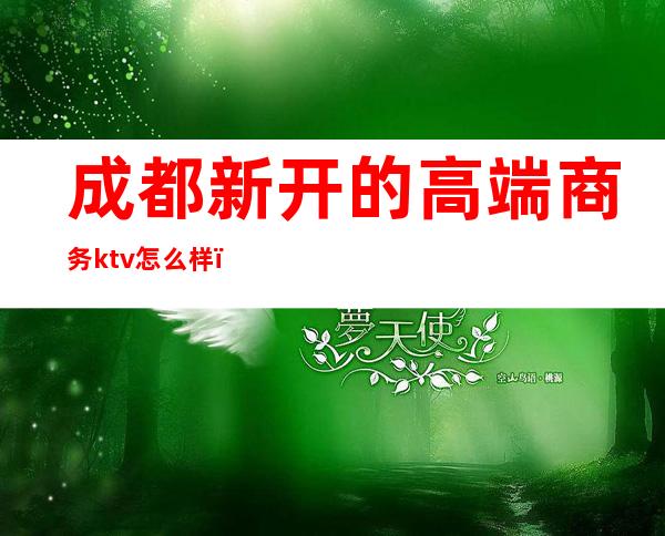 成都新开的高端商务ktv怎么样(成都性价比高的商务KTV)