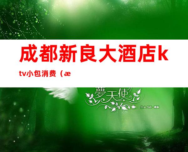 成都新良大酒店ktv小包消费（成都ktv小包一般多少钱）