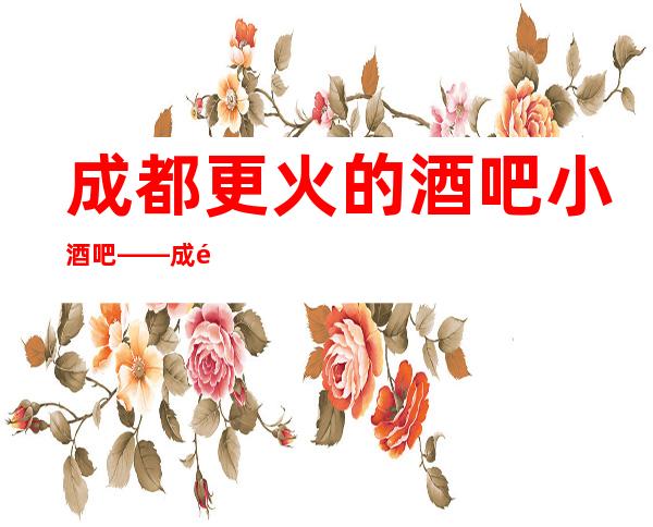 成都更火的酒吧小酒吧——成都万瑞汇酒吧预定介绍