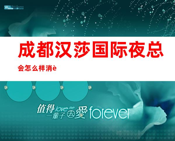 成都汉莎国际夜总会怎么样消费水平如何?