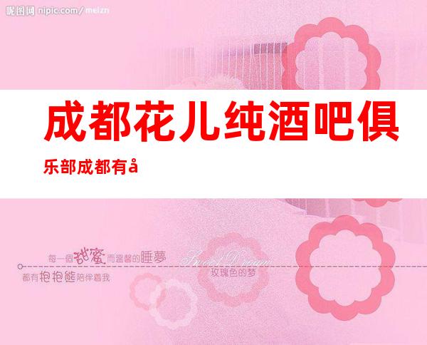 成都花儿纯酒吧俱乐部成都有名有好玩的酒吧场所