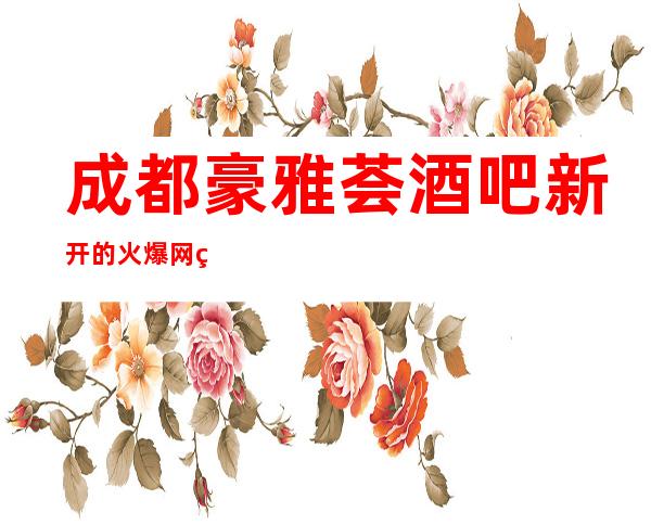 成都豪雅荟酒吧新开的火爆网红高档酒吧