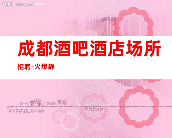 成都酒吧酒店场所招聘-火爆静吧隆重开业急聘服务员