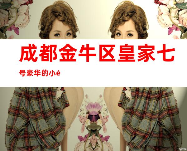 成都金牛区皇家七号豪华的小酒吧包厢消费预订介绍