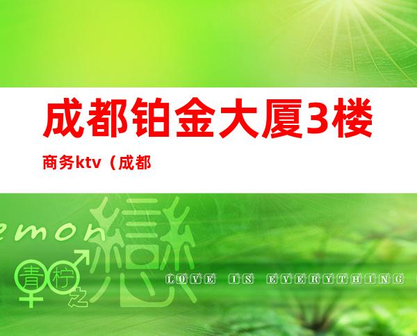 成都铂金大厦3楼商务ktv(成都国际商务大厦c座)