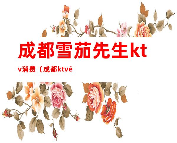 成都雪茄先生ktv消费（成都ktv酒吧）