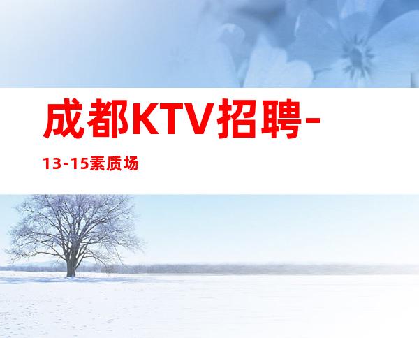 成都KTV招聘-13-15素质场