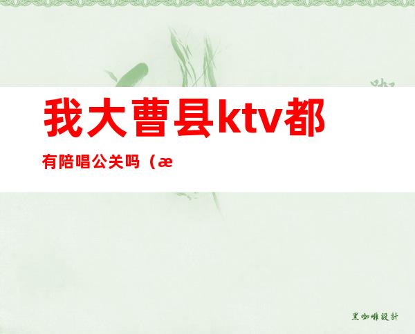 我大曹县ktv都有陪唱公关吗(房县ktv有陪唱吗)