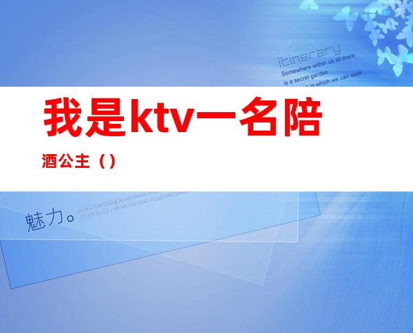 我是ktv一名陪酒公主()