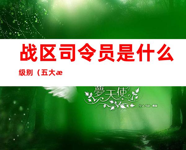 战区司令员是什么级别(五大战区司令员是什么级别)