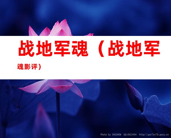 战地军魂(战地军魂影评)