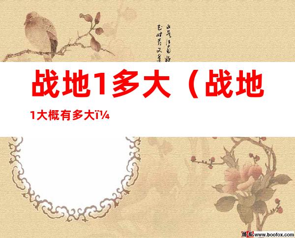 战地1多大(战地1大概有多大)