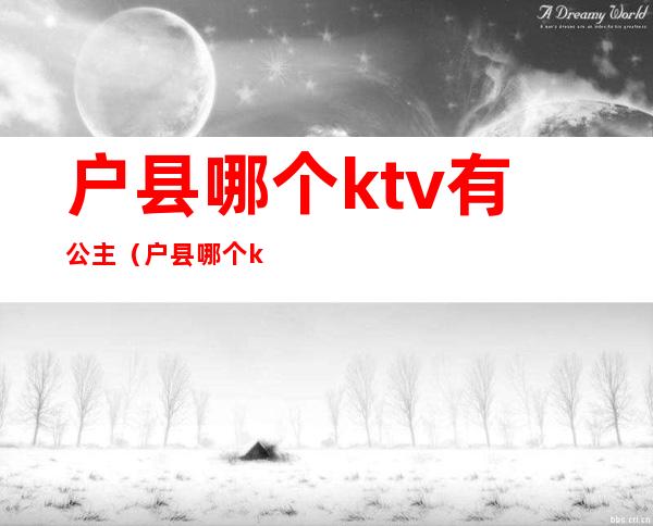 户县哪个ktv有公主(户县哪个ktv有公主厅)